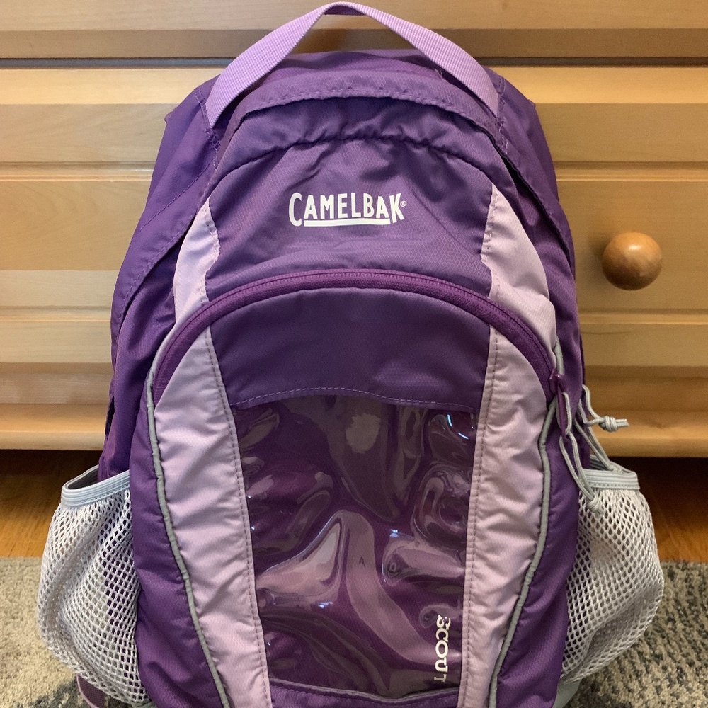 CamelBak Scout Purple/Violet Hiking Backpack